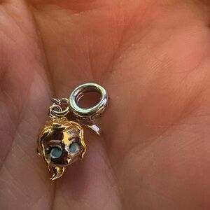 Walking Dead Gnoce charm